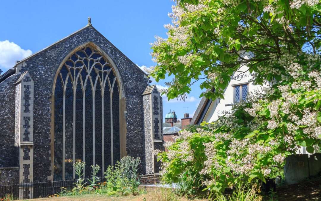 Heritage Open Days: Hidden Nature of Hungate